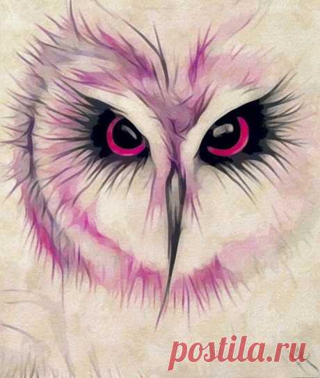 Enchanted Owl in 2022 | Cute owls wallpaper, Owls drawing, Bird art