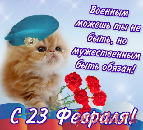 День защитника Отечества – 2024: картинки и открытки к 23 Февраля - МК Волгоград