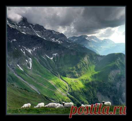 35PHOTO - Forest Elf - Про горных овец и их домики