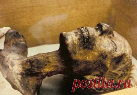   #улыбнуло В 1974 году египтологи обнаружили, что мумия фараона Рамсеса II…