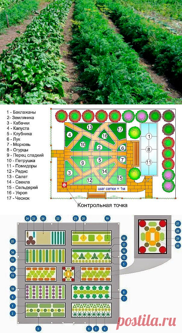 Схема огорода овощей. План посадок на дачном участке 6 соток. Схема расположения грядок на участке 6 соток. Схема планирования огорода. Схема посадки плодового сада на 10 сотках.