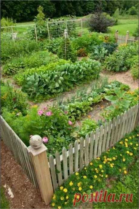How to plan a vegetable garden from scratch, vegetable garden planner, unique vegetable garden ideas,