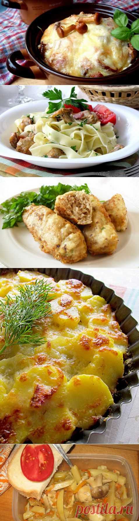 5 лучших рецептов горячих блюд с грибами | Дом на Клео | Kleo.ru