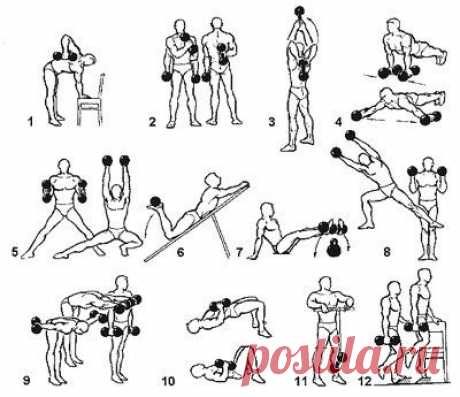 Упражнения с гирями и гантелями | SportSovety.ru
