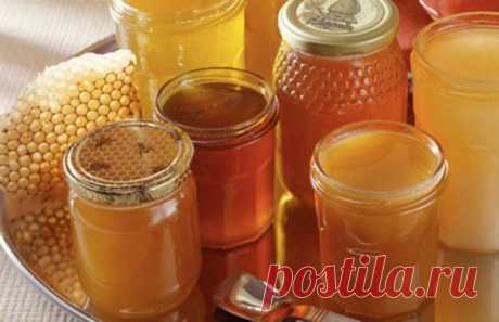 Какой мед и при каких заболеваниях помогает?