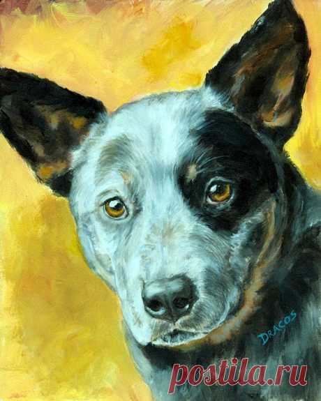 Australian Cattle Dog Blue Heeler on Gold by Dottie Dracos Australian Cattle Dog Blue Heeler on Gold Painting by Dottie Dracos