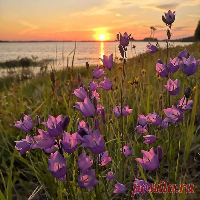 Photo shared by ВОКРУГ СВЕТА on June 30, 2021 tagging @galinakoponen. May be an image of flower and nature. #flower #nature #art #watercolor #painter, #portrait #flowers #happiness #lake #mood #summer, #sunset, #beauty #travel #photo #instagram, #myworld #instagood #love #smile #happy
Photo shared by ВОКРУГ СВЕТА at 6 momenta previously.