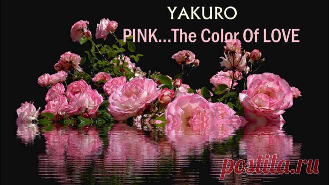 PINK... The Color Of LOVE - YAKURO #yakuro #pink #love @Andreea Petcu music: Yakuro - Pink...The Color Of Lovehttp://o2label.ru/authors/84video edit: Andreea Petcuhttp://www.youtube.com/Newoce...