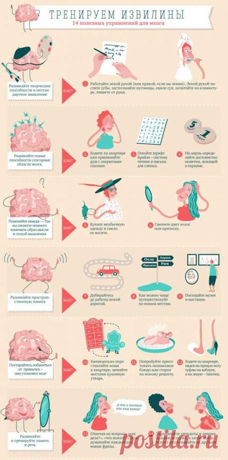 Тренируем извилины. 14 полезных упражнений для мозга / Будьте здоровы