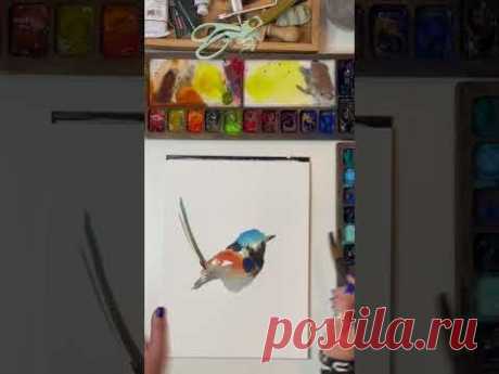 Wren bird watercolor painting process by CanotStopPainting #painting #art #watercolor #drawing