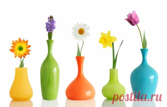 Arreglos florales y jarrón con diferentes colores 45825_ 花 F _Flower class_ Gallery Wallpaper_68Design