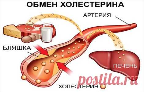 Снижение холестерина народными средствами в домашних условиях | Sovetcik.ru