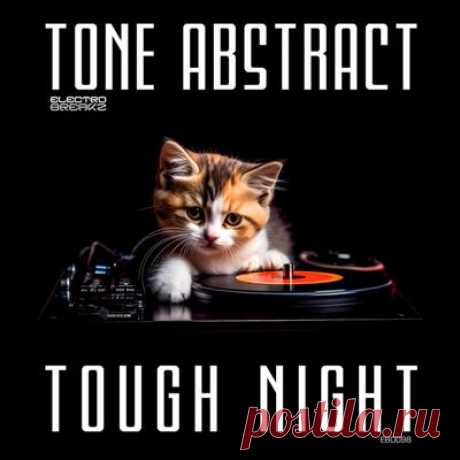 Tone Abstract – Tough Night - FLAC Music
