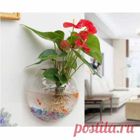 Amazon.com: Auony Wall Fish Tank Acrylic Hanging Wall Mount Fish Bowl Wall Hanging Flower Plant Pot for Home Decoration: Garden & Outdoor