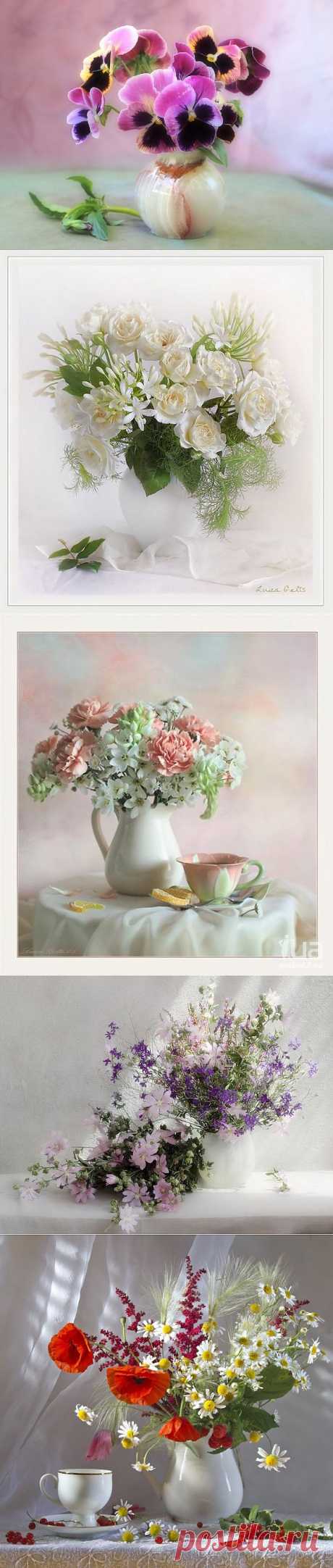 Белая фарфоровая ваза… 
В ней фиалки нежные стоят, 
Золото с лиловым – их наряд 
На листочках капельки как стразы… атюрморт Цветы в белом кувшине.