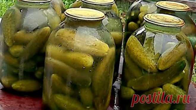 Настоящие бочковые соленые огурцы без хлопот🥒🥒🥒