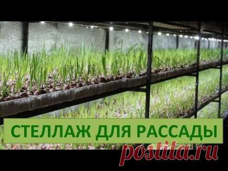 Стеллаж с подсветкой для рассады