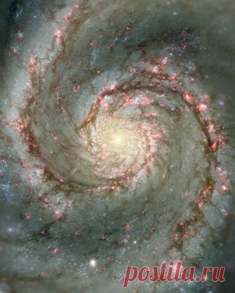 My view of the world â€” space-wallpapers: Whirlpool Galaxy (phone)...
