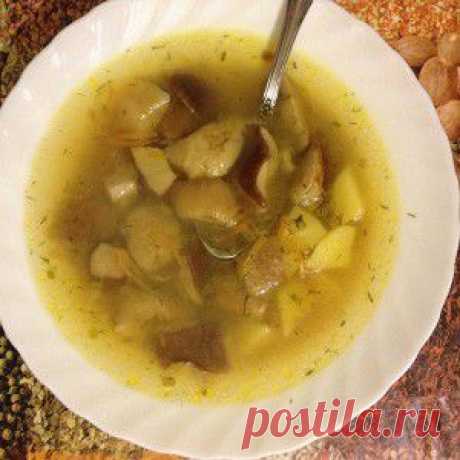 Суп из белых грибов рецепт – вегетарианская еда: супы