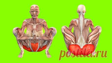 Выполняйте это упражнение ежедневно, и ваше тело преобразится на глазах - funpage.win Есть такая древняя техника под названием «маласана». Если выделять на такое упражнение...