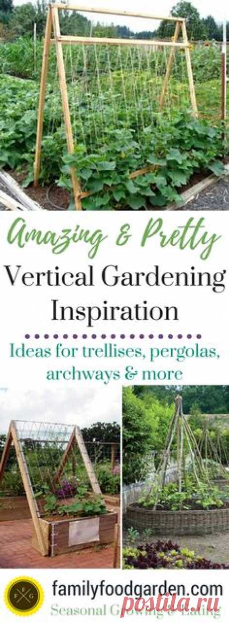 Garden Ideas: Amazing Vertical Gardening Ideas