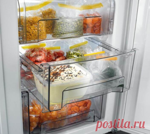 Как выбрать качественный и недорогой холодильник для дома | Энергофиксик | Яндекс Дзен