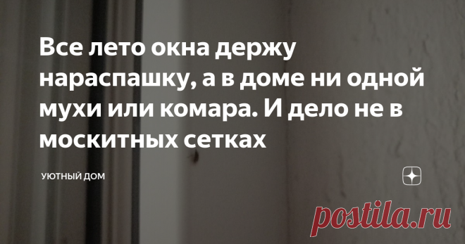 Все лето окна держу нараспашку, а в доме ни одной мухи или комара. И дело не в москитных сетках Невозможно открыть окна, буквально пять минут, и под потолком целый рой из мелкой мошкары, и даже москитные сетки не спасают. Так и норовят облепить все вокруг.