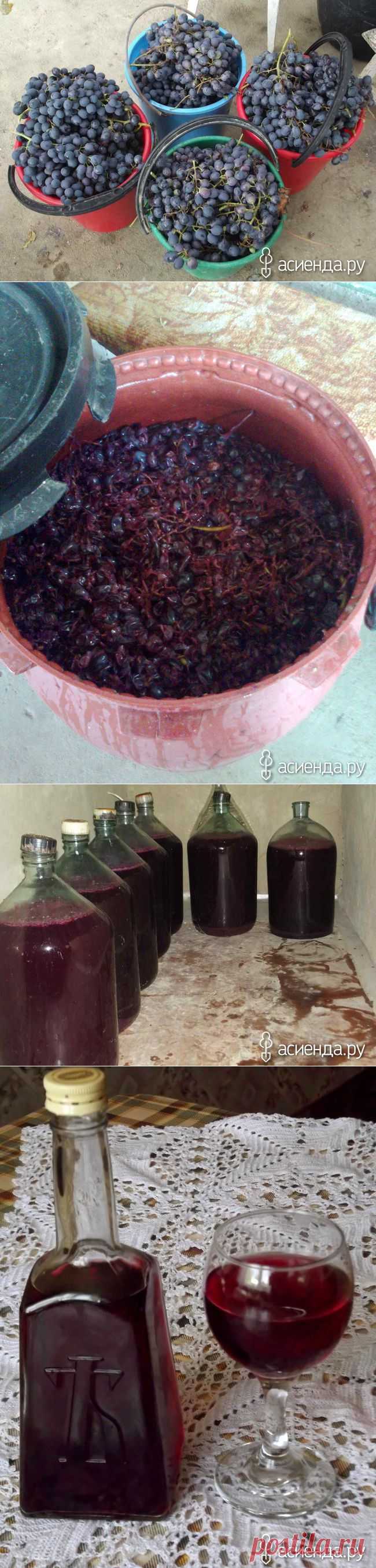Вино домашнее из винограда.: Группа Собираем урожай: хвастики, рецепты, заготовки