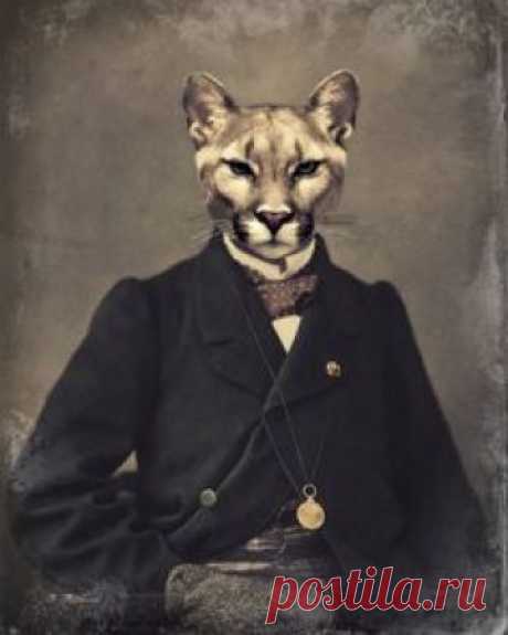Cat Art Print, la faune, Cougar Mountain Lion, Woodland, photographie animalière, Collage, Steampunk victorien, anthropomorphe, « Chadwick »