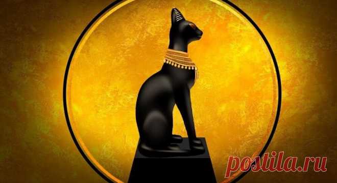 Почему египтяне поклонялись кошкам ? Практическое значение кошки в Древнем Египте было так велико, что именно в этот период кошку в стали считать священным животным. Египтяне обожествляли кошек, видя в них существ, способных воплощать в себе образы конкретных богов. Облик огромного кота принимал великий бог солнца Ра, победивший Апопа, змея тьмы. #ДревнийЕгипет  #кошки #интересно Подписывайтесь на канал Калейдоскоп новостей чтоб быть