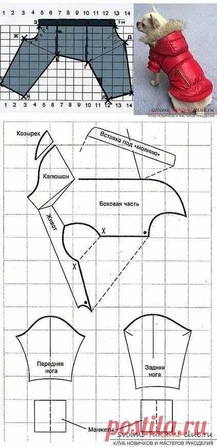 выкройка комбинезона для собаки удобный покрой для мальчиков: 2 тыс изображений найдено в Яндекс.Картинках Просматривайте этот и другие пины на доске Одежда для собак пользователя Sasha.
Теги
выкройка комбинезона для животного удобный покрой по крою: 3 тыс изображений найдено в Интернет-магазинах