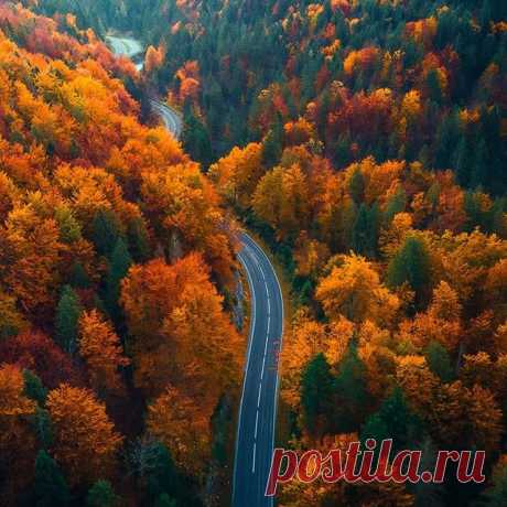 Autumn in Austria, one of the best 🍁🍁🍁🍂🍂🍁
.
.
.
.
#hellofrom #austria #salzkammergut #visitaustria #voyaged #cozyautumn #nomadict #autumnvibes🍁 #tree_brilliance #ig_shotz_trees #tree_captures #eclectic_shotz @eclectic_shotz @nomadict #droneoftheday #dronestagram #dronesofearth @drones.of.earth #germandrones @germandrones #djiglobal #thewanderco #dronegear #divine_forest @divine_forest @tree_brilliance #colorsofautumn