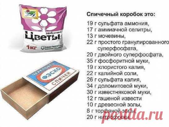 ОГОРОДНАЯ АРИФМЕТИКА: ОТМЕРЯЕМ УДОБРЕНИЯ НА ГЛАЗОК!
Сохраните, чтобы не потерять!
Не пугайтесь, все может быть гораздо проще. у огородника есть свои, причем весьма точные мерки.
Первая из них - спичечный коробок. В нем помещается:
19 г сульфата аммония,
17 г аммиачной селитры,
13 г мочевины,
22 г простого гранулированного суперфосфата,
20 г двойного суперфосфата,
35 г фосфоритной муки,
19 г хлористого калия,
22 г калийной соли,
26 г сульфата калия,
34 г доломитовой муки,
30 г