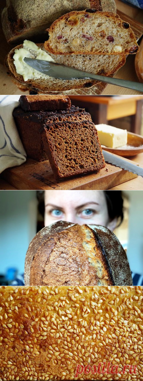 Технологии домашнего хлебопечения | блог | Хлебомолы