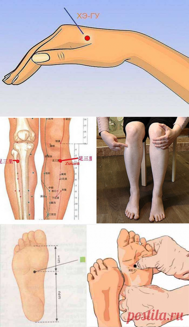 Как найти точку цзу сан ли фото Zu San Li, le point d’acupuncture magique. ! Massage therapy, Massage benefits,