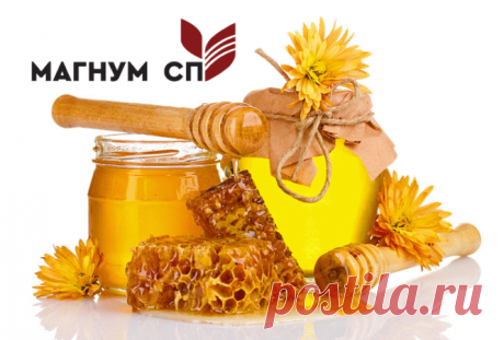 Які є продукти бджільництва та для чого їх можна використовувати — Последние новости Украины и мира vremya.eu