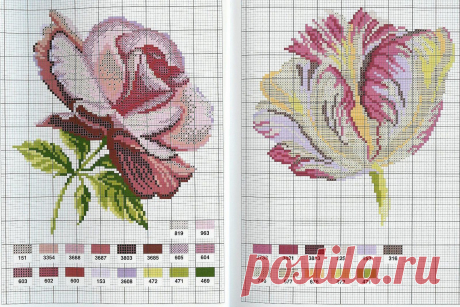 rosas..tulipanes | BertaFilava
