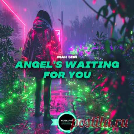 Mak Sim - Angel's Waiting For You [Yeiskomp Records]