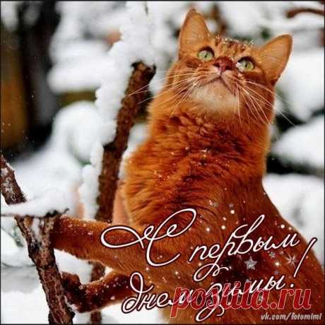 С первым днем зимы)
 Красивые картинки и открытки  vk.com/fotomimi