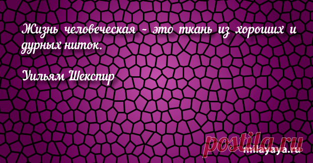 Афоризм про жизнь со смыслом для женщин и девушек (картинка 369) . Милая Я