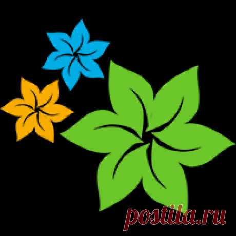 Астра – королева осени