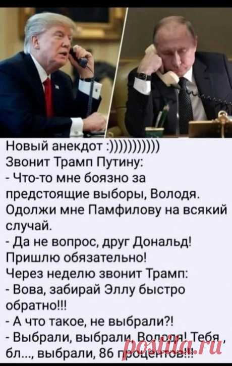 ВЫБОРЫ