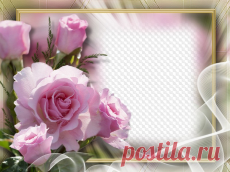 Pink rose photo frame collage psd download. Transparent PNG Frame, PSD Layered Photo frame template, Download.