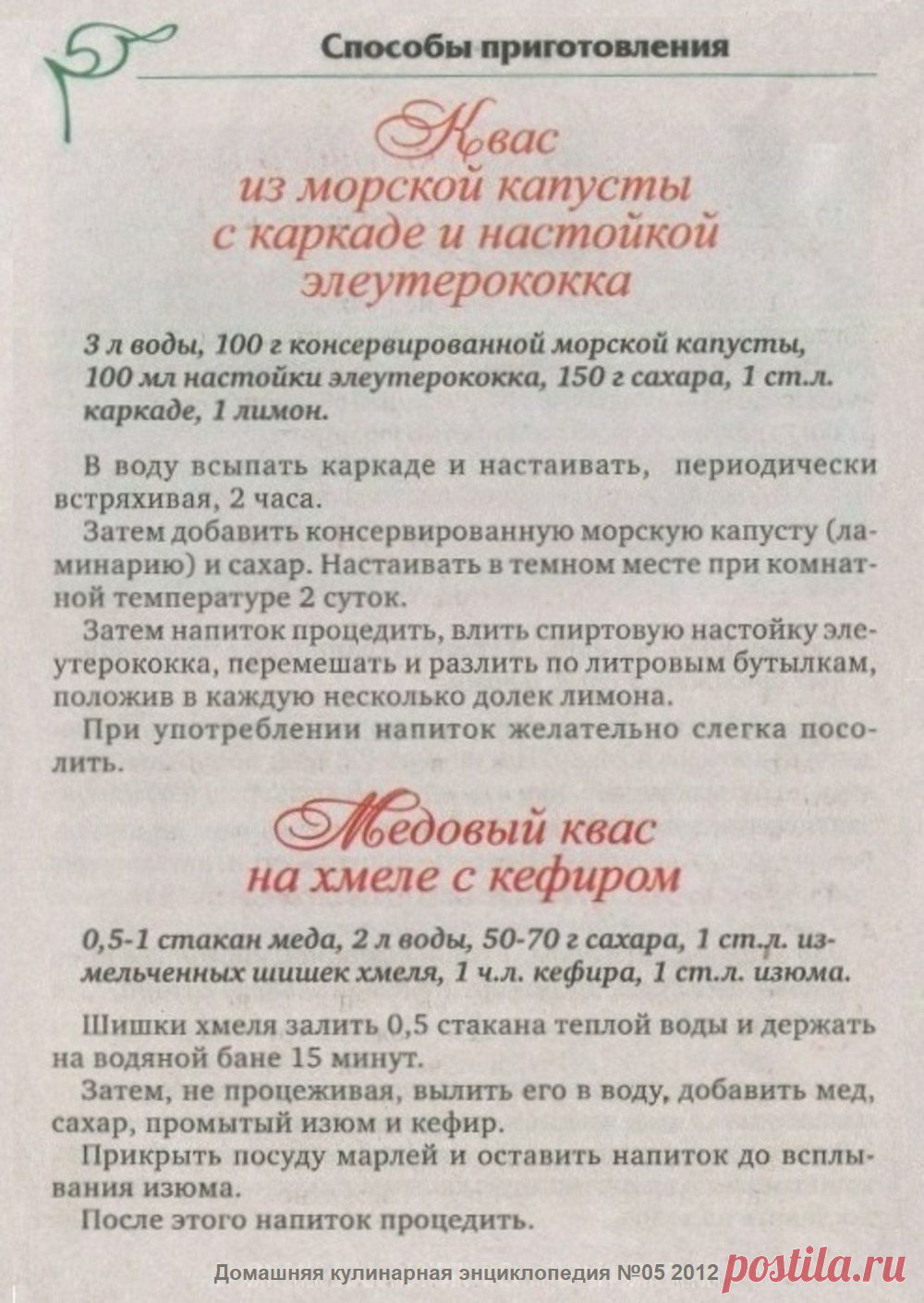 Квас из морской капусты с каркаде и настойкой элеутерококка. Медовый квас на хмеле с кефиром