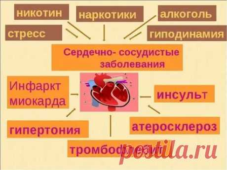 ВСЕ ЗАБОЛЕВАНИЯ: ССС: 2 тыс изображений найдено в Яндекс Картинках