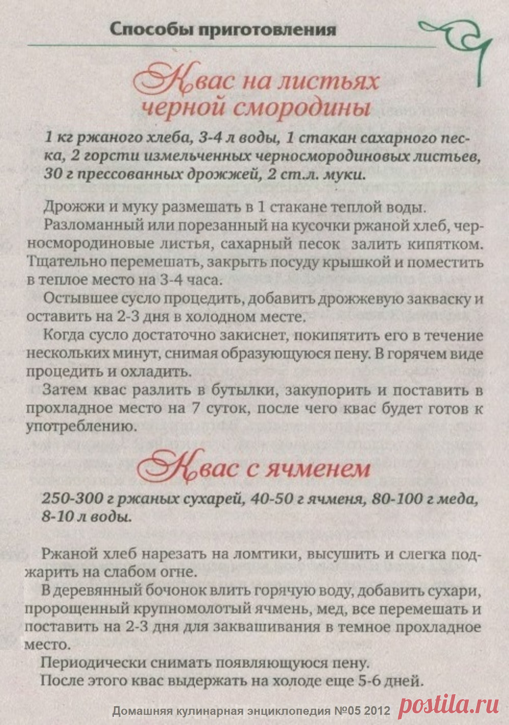 Квас на листьях черной смородины. Квас с ячменем