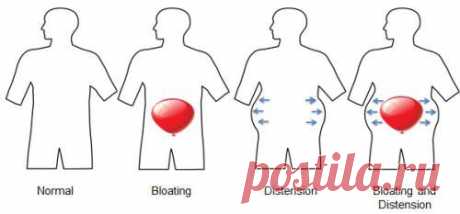5 привычек, которые вызывают вздутие живота - Упражнения и похудение Обратите внимание! Вздутие живота в течение дня делает одежду плотной и неудобной и может вызвать чувство летаргии. Определенные продукты и напитки могут способствовать вздутию живота, и осознание причин может помочь людям избежать триггеров, которые приводят к отеку. Газированные напитки Пузырьки в безалкогольных напитках, вызванные добавлением карбонизации, являются газами, которые накапливаются в желуд...
