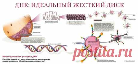 Невероятно! Слова, которые вызывают мутагенный эффект чудовищной силы