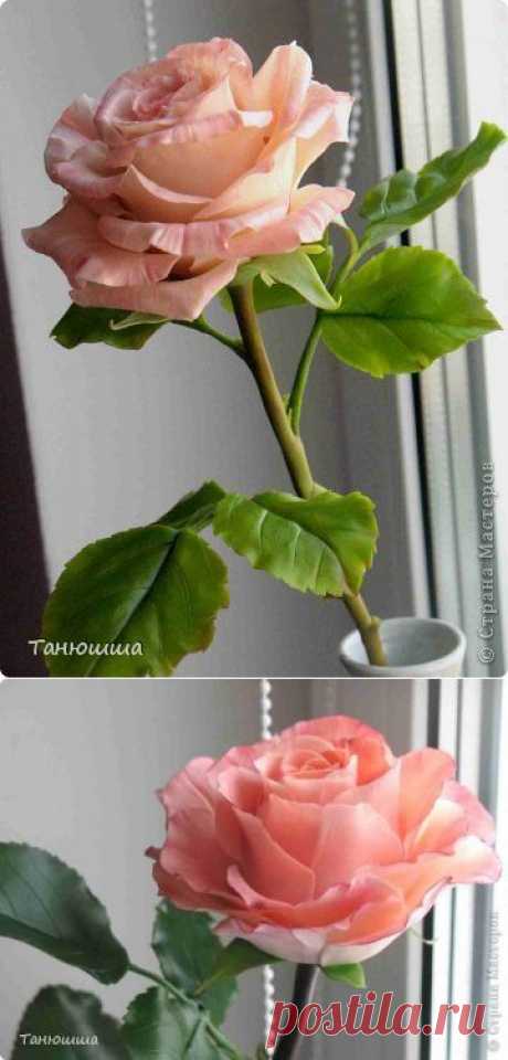 Розы из холодного фарфора, как сделать молды и другие полезности для лепки .