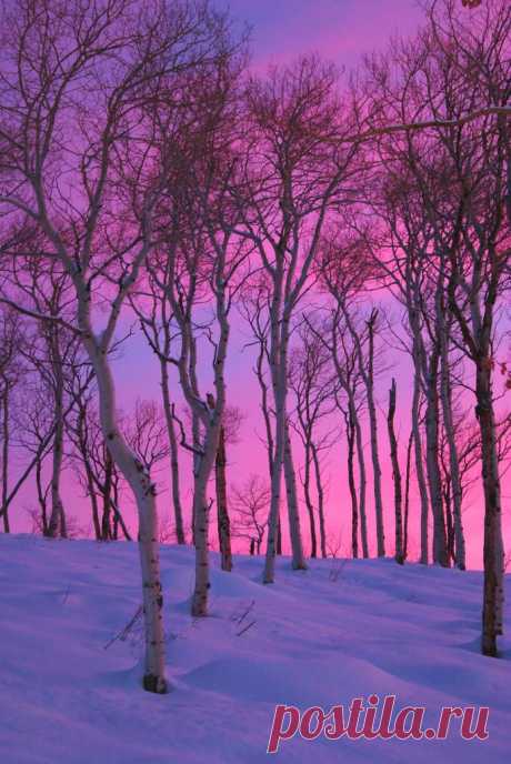 Beautiful Nature (lori-rocks: Winter Sunset by Beautiful Nature)